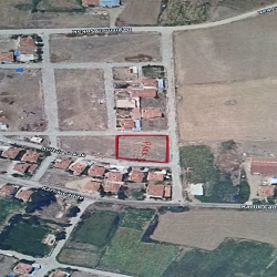 ŞUHUT’TA BELEDİYE VE EMNİYETTEN AĞAÇLANDIRMA İŞ BİRLİĞİ