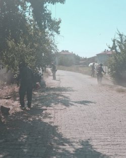 ŞUHUT BELEDİYEMİZDEN YEŞİL ALANLARA KESİNTİSİZ BAKIM