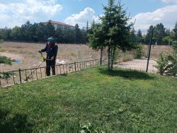  Şuhut Belediyesi Park ve Bahçeler Müdürlüğü'nden Yaz Dönemi Bakım Çalışmaları