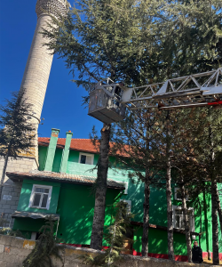 BADEMLİK CAMİİ BAHÇESİNDE BAKIM VE DÜZENLEME ÇALIŞMASI