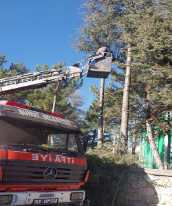 BADEMLİK CAMİİ BAHÇESİNDE BAKIM VE DÜZENLEME ÇALIŞMASI