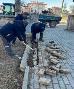 BADEMLİK CAMİİ BAHÇESİNDE BAKIM VE DÜZENLEME ÇALIŞMASI