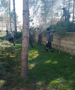 BADEMLİK CAMİİ BAHÇESİNDE BAKIM VE DÜZENLEME ÇALIŞMASI