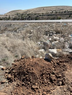 Bütün canlıları ve doğayı, sevip, yaşam ve ölüm hakkına saygı duyarak korumalıyız. 