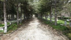 ŞUHUT ASRİ MEZARLIK BAYRAM ZİYARETLERİNE HAZIR