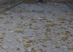 Sonbahar'da Çevre Temizlik ve Bakım Çalışmalarımız Devam Ediyor