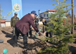 11 Kasım Milli Ağaçlandırma Günü