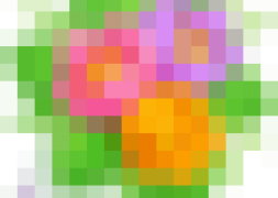 Bölgenin En Büyük Nefes Alanı Şuhut Millet Bahçesi Tamamlanıyor