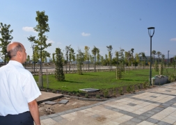 Şuhut Millet Bahçesinde 98.000 Fidan Toprakla Buluşuyor.