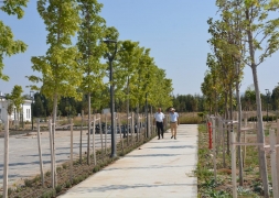 Şuhut Millet Bahçesinde 98.000 Fidan Toprakla Buluşuyor.