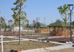 Şuhut Millet Bahçesinde 98.000 Fidan Toprakla Buluşuyor.