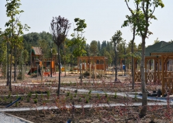 Şuhut Millet Bahçesinde 98.000 Fidan Toprakla Buluşuyor.