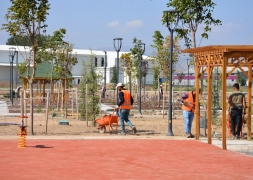 Şuhut Millet Bahçesinde 98.000 Fidan Toprakla Buluşuyor.