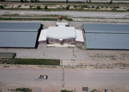 Şuhut Belediyesi Hayvan Pazarı 3 Gün Boyunca Açık