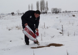 Başkan Recep Bozkurt Sokak Hayvanlarını Unutmadı
