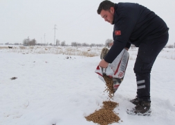 Başkan Recep Bozkurt Sokak Hayvanlarını Unutmadı