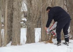Başkan Recep Bozkurt Sokak Hayvanlarını Unutmadı