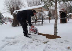 Başkan Recep Bozkurt Sokak Hayvanlarını Unutmadı