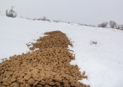 Başkan Recep Bozkurt Sokak Hayvanlarını Unutmadı