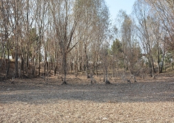 Başkan Bozkurt kolları sıvadı, örnek davranışa imza attı
