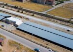 Şuhut Canlı Hayvan Borsası 4 Gün Boyunca Açık.