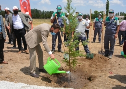 Şuhut Millet Bahçesinde ilk fidan toprakla buluştu