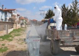 ŞUHUT'TA SİNEK,SİVRİSİNEK VE LARVA İLE MÜCADELE ARALIKSIZ SÜRÜYOR