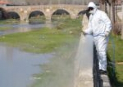 ŞUHUT'TA SİNEK,SİVRİSİNEK VE LARVA İLE MÜCADELE ARALIKSIZ SÜRÜYOR