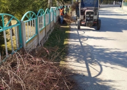 Mevsimsel Ağaç Budama Çalışmaları Devam Ediyor..