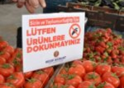 Cumartesi Kurulan Pazarlar,Bu Hafta Pazar Günü Kurulacak.