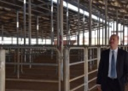 Şuhut Belediyesi Canlı Hayvan Pazarı Açılıyor.