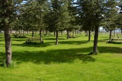 Şuhut Millet Bahçesi Bakım Çalışmaları Devam Ediyor.