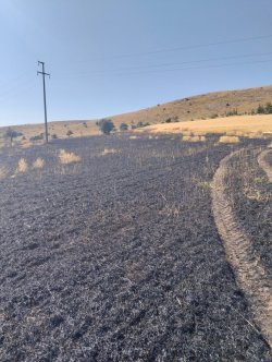 İCİKLİ KÖYÜ MEVKİİNDE ÇIKAN YANGINI İTFAİYE EKİPLERİMİZ SÖNDÜRDÜ