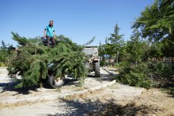 EKİPLERİMİZ OKULLARDA BAKIM ÇALIŞMASI YAPTI