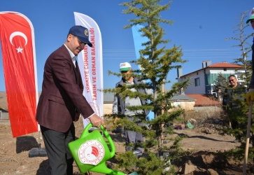 11 Kasım Milli Ağaçlandırma Günü