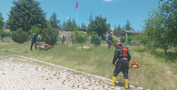 ŞUHUT’TA PARK VE YEŞİL ALANLARDA YOĞUN ÇALIŞMA
