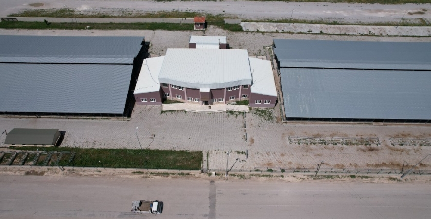 Şuhut Belediyesi Hayvan Pazarı 3 Gün Boyunca Açık