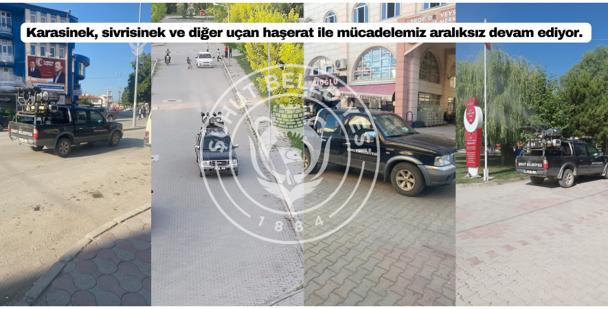 Karasinek, sivrisinek ve diğer uçan haşerat ile mücadelemiz aralıksız devam ediyor.