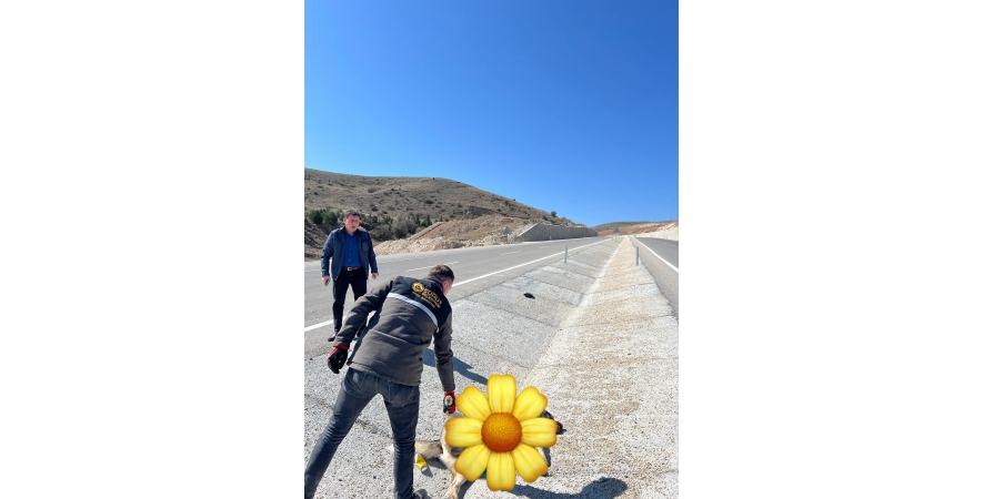 Bütün canlıları ve doğayı, sevip, yaşam ve ölüm hakkına saygı duyarak korumalıyız. 