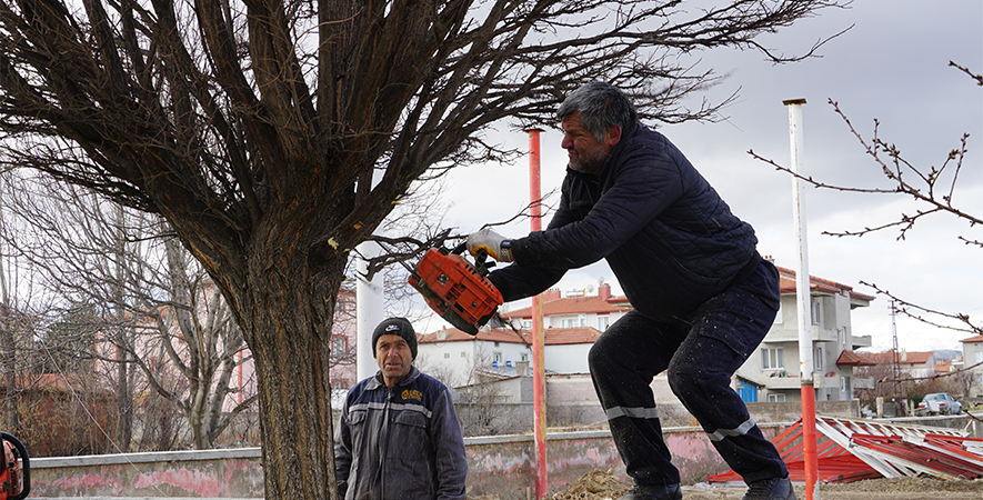 ŞUHUT’TA AĞAÇ BUDAMA ÇALIŞMALARI DEVAM EDİYOR